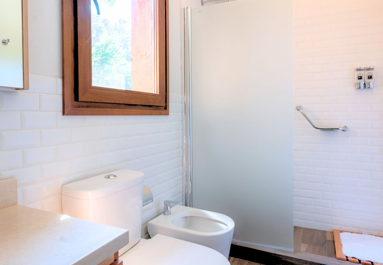 Apartment in San Carlos de Bariloche - Lenga 2D: Apart 2 rooms+2 baths